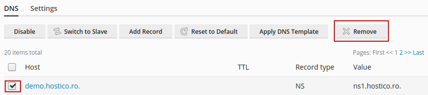 DNS Settings Plesk